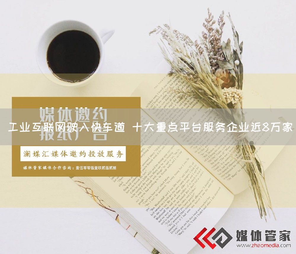 工业互联网驶入快车道 十大重点平台服务企业近8万家(图1)