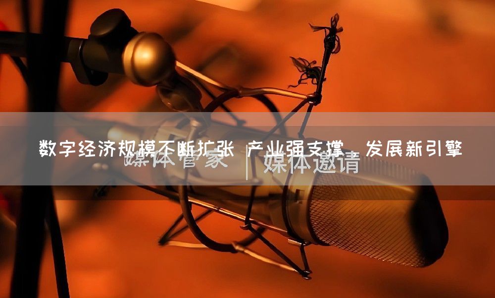 数字经济规模不断扩张 产业强支撑，发展新引擎(图1)